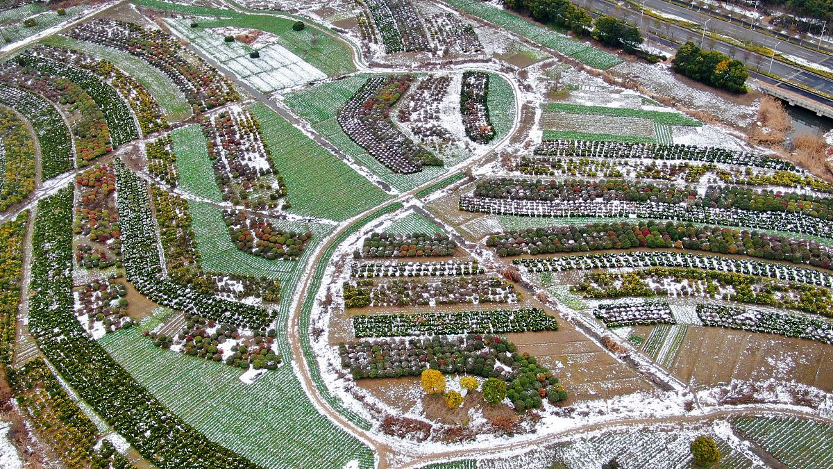 我要采访写黄山风景区的浦西庄园房地产开发项目的总经理总经理来自福建做房地产行业20多年了帮我准备10个采访问题