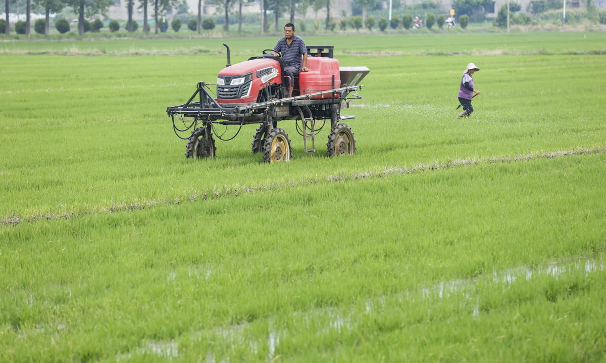 论述本人去延长县乡村振兴局开展农业机械化推广现状咨询写出目的、时间、过程、结果不少于300字。