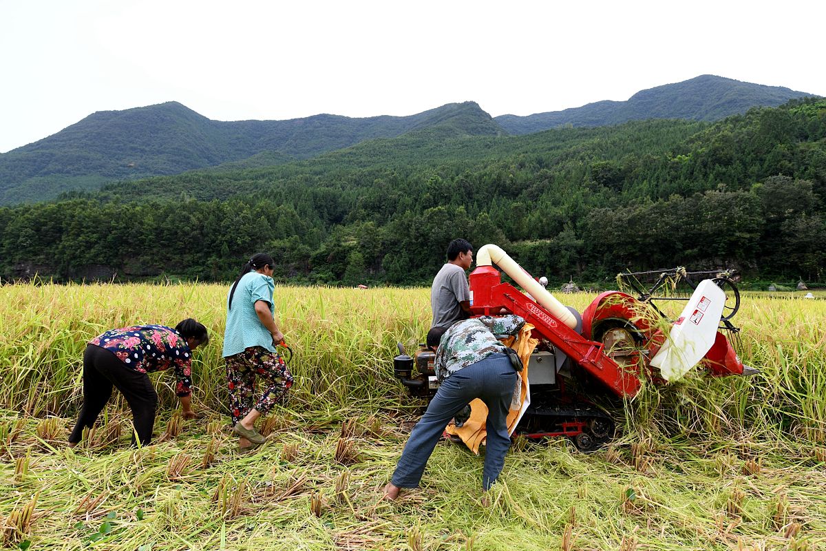 巴中市工程师评审