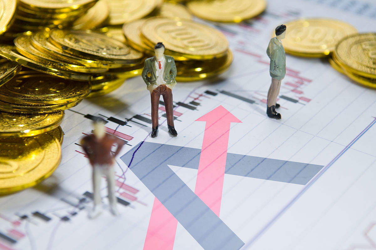 中国个体投资者股票基本面分析能力不足的原因及提升策略