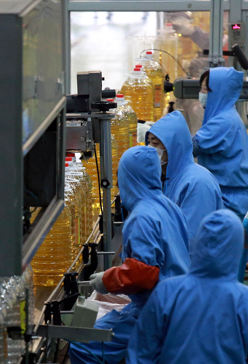 粮油和饲料加工技术专业就业前景分析：岗位、发展趋势及未来方向