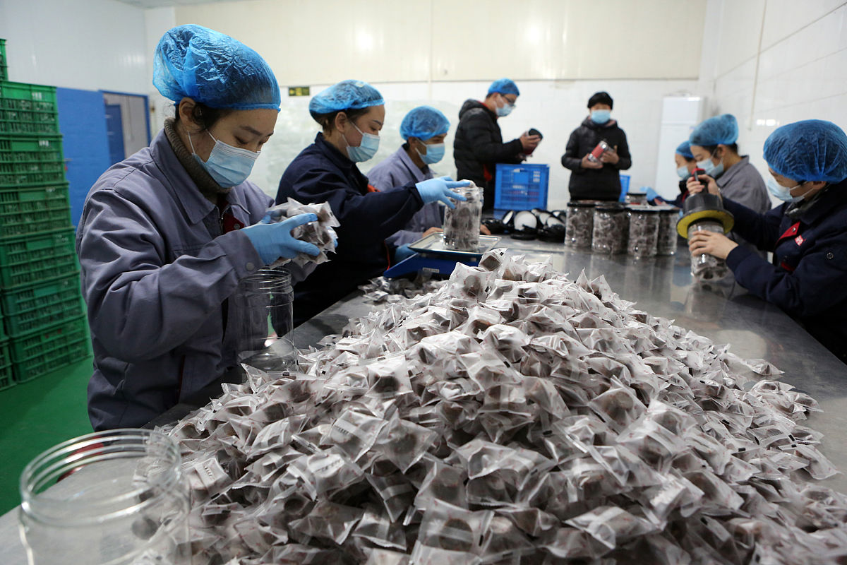 云南省贸易经济学校食用菌加工检验及营销专业介绍-就业前景广阔