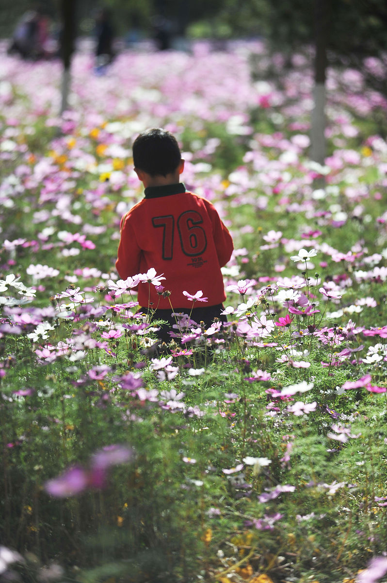 荆州技师学院园林绿化专业就业如何？