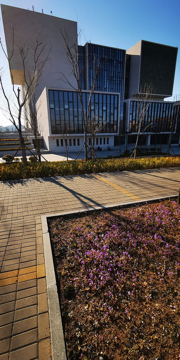 天津农学院环境设计专业怎么样？优势、劣势及未来发展方向