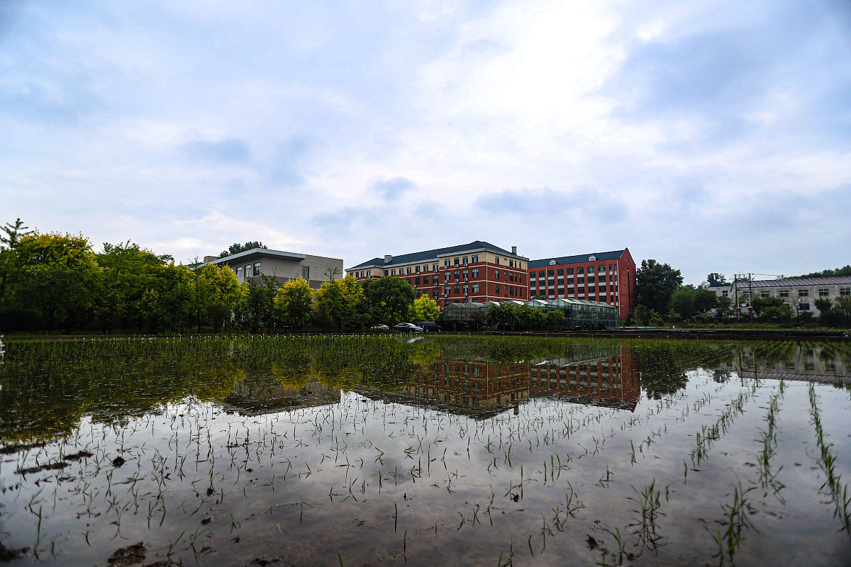 重庆水利电力职业技术学院水环境监测与分析专业怎么样都要学些什么