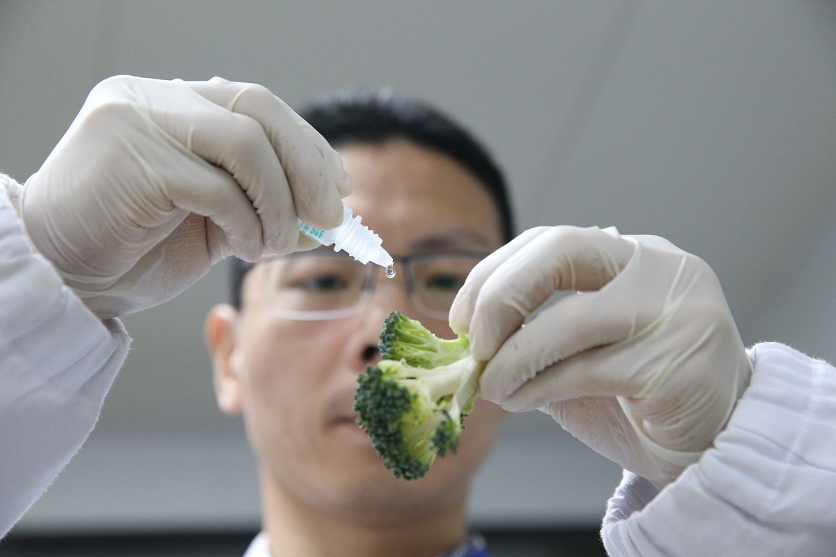 重庆市医药卫生学校医学检验技术专业招生简章 - 2019