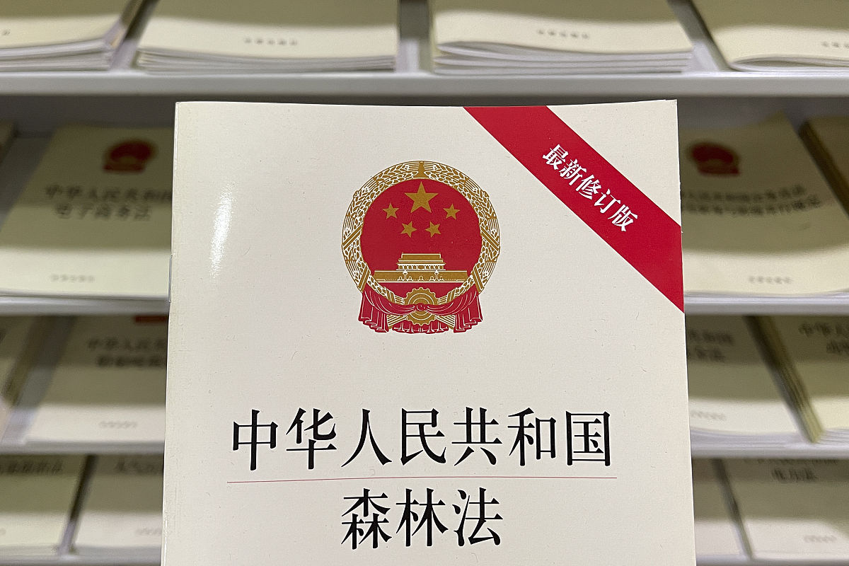 2021年5月1日,北京,王府井书店,<strong>法</strong>律书籍区,《中华人民共和国森林法》