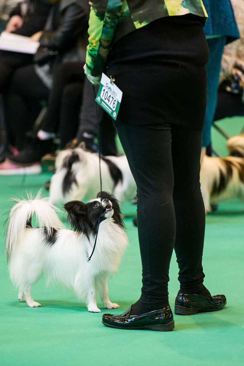 山东中小学开学时间