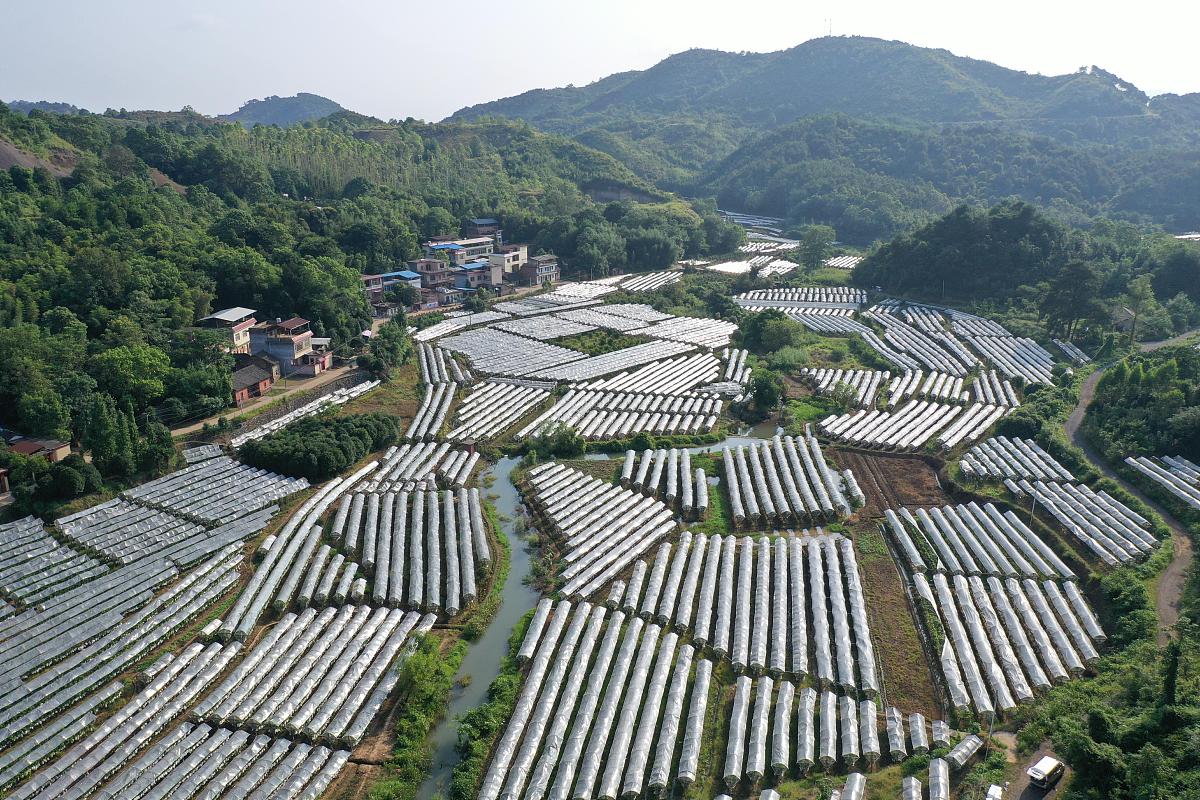 广西中专学校：2023年招生指南及发展前景
