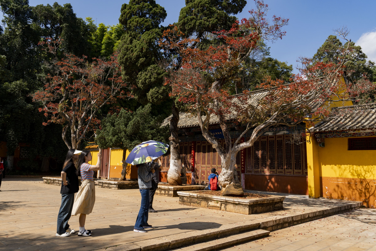 求丽江旅游攻略自助游,求丽江旅游攻略自助游的地方