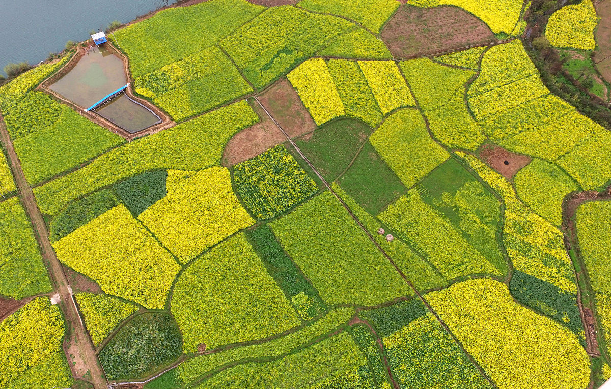 黔南民族职业技术学院2020年招生简章 | 报名指南