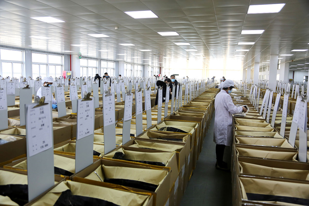 浙江纺织服装职业技术学院物流管理专业怎么样？就业前景、师资力量、课程设置全解析
