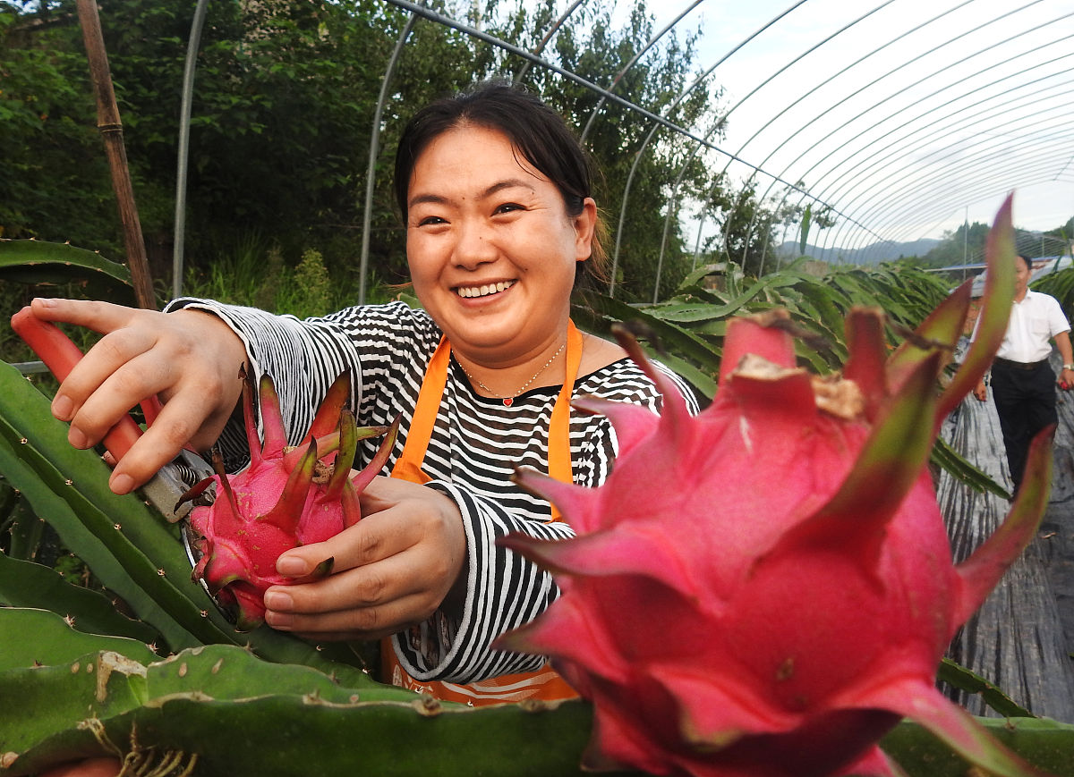 四川省渠县职业中专学校模具设计与制造专业怎么样？课程设置及优势分析