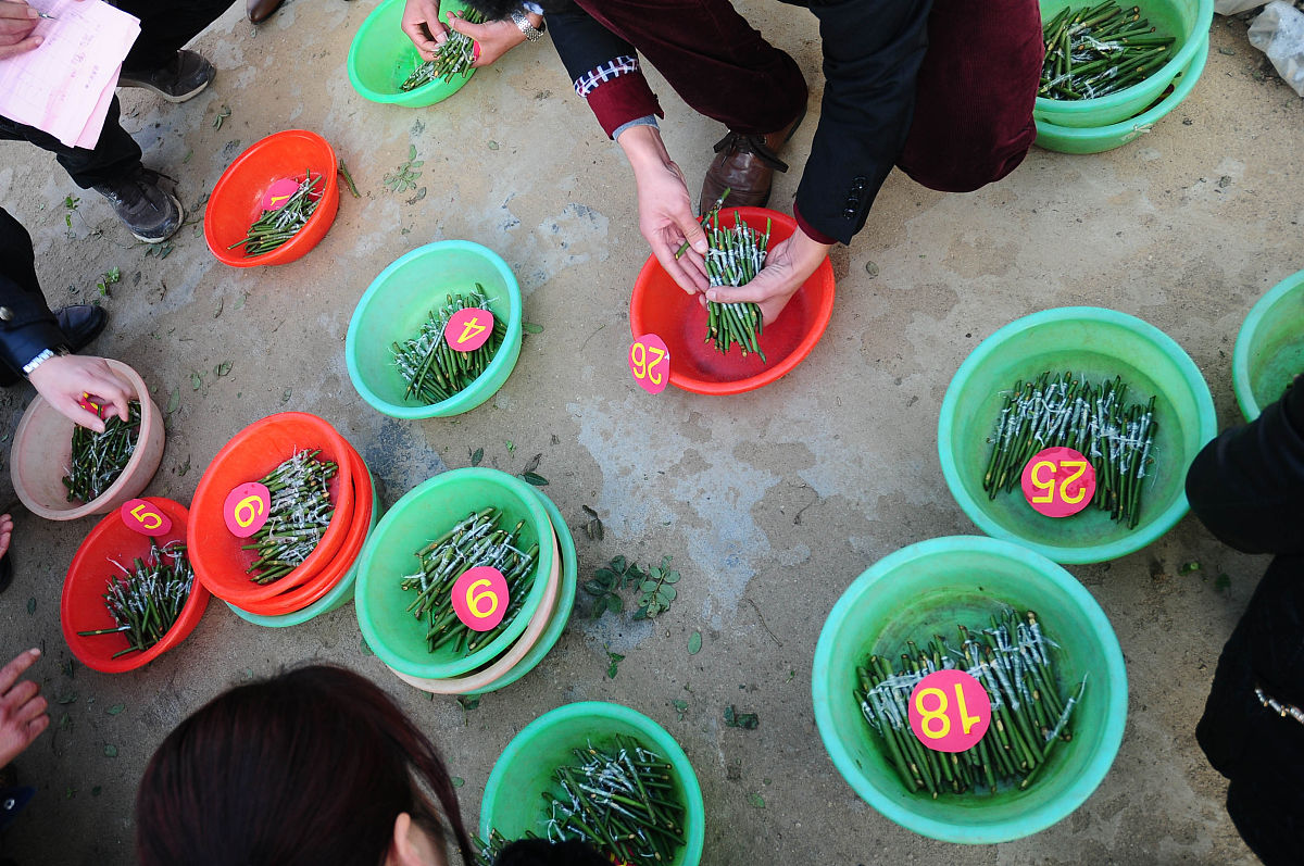 河南信息统计职业学院招生办联系电话 - 报考指南