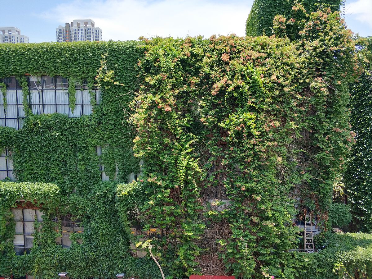 传媒娱乐行业国家政策解读：文化产业振兴、电影产业发展等