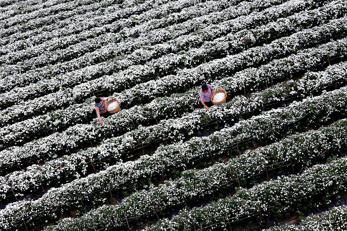 热斑效应的定义