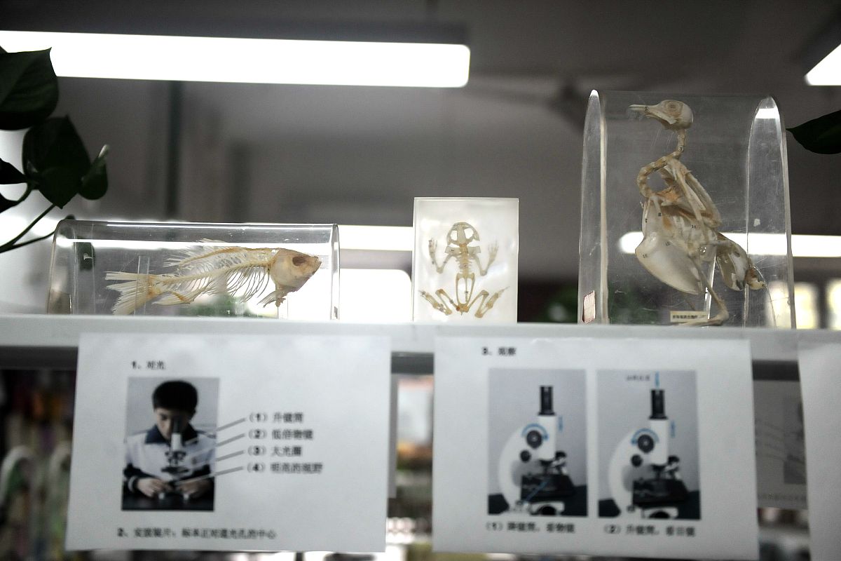 选课说明：如何选择适合你的课程