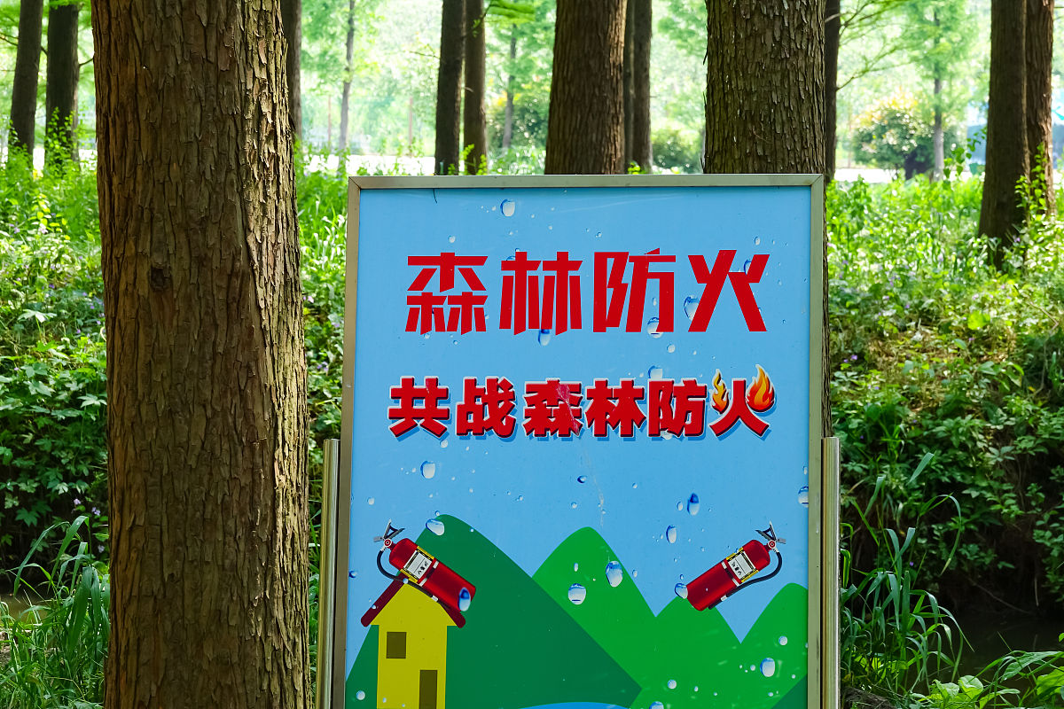 森林防火活动目的：保护资源、预防火灾、保障安全