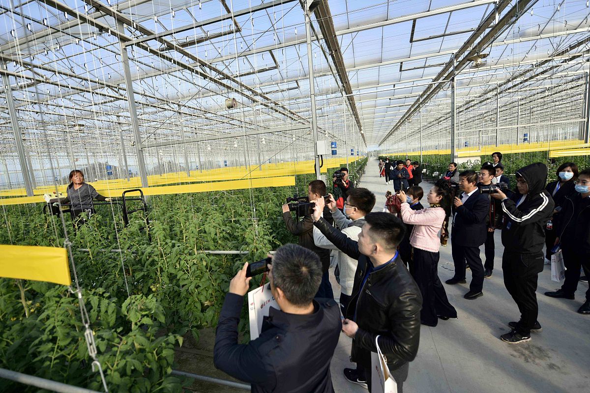 广西金穗农业集团参观感：现代化农业设施与科技创新 | 农业发展潜力巨大