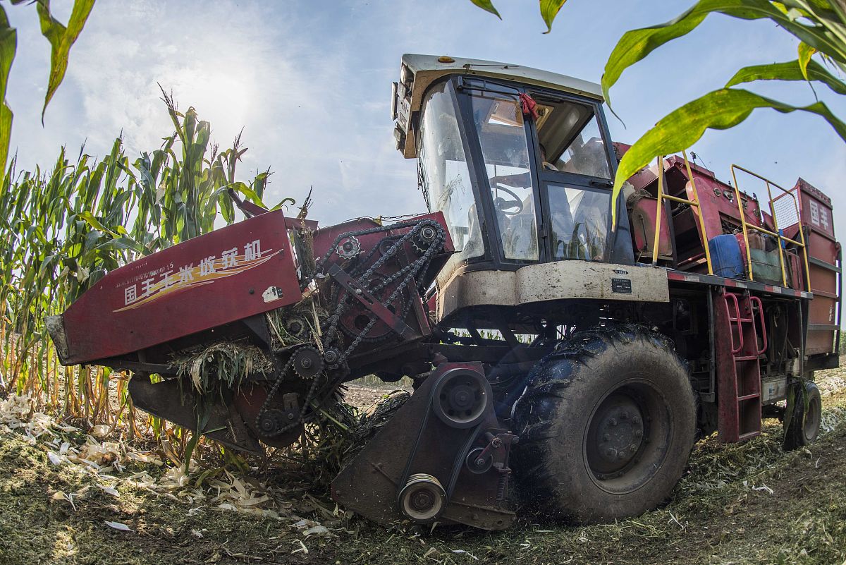 谷王玉米收割机220马力或240前粉中粉都可以一杆操作一般多少钱一台 200字