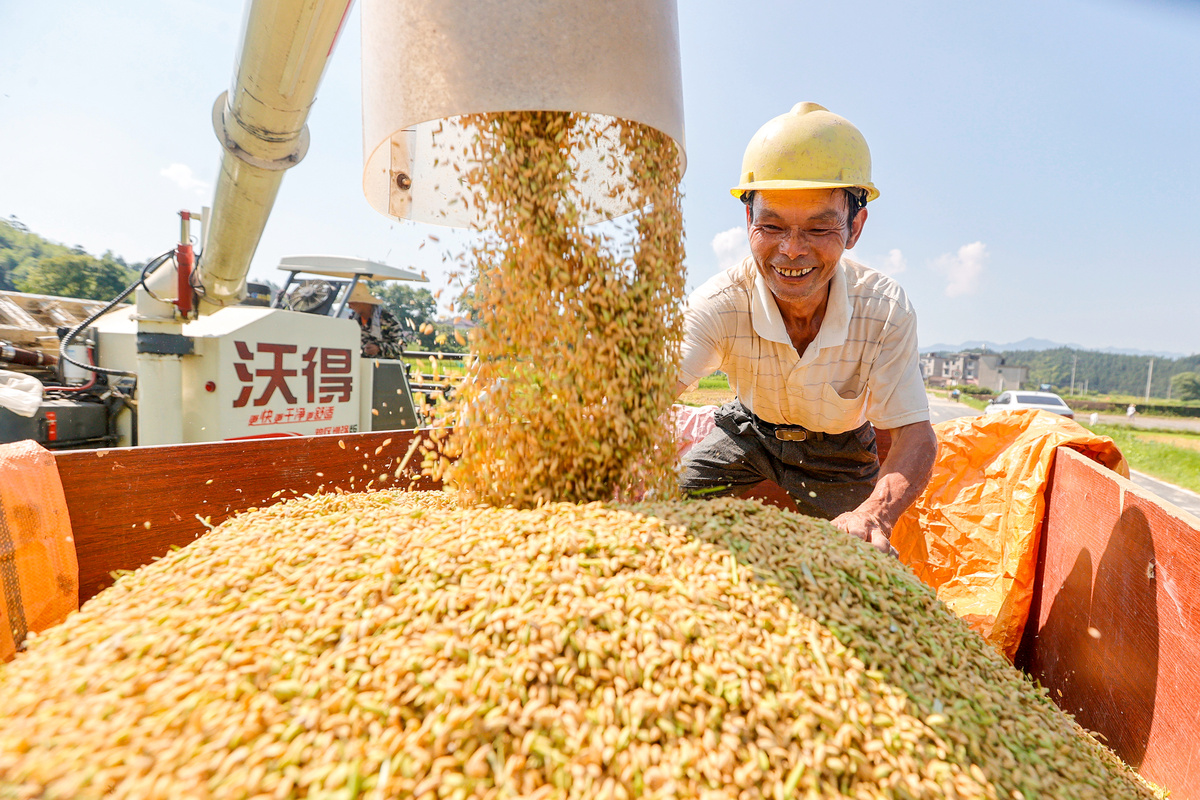 五一致敬农民文案