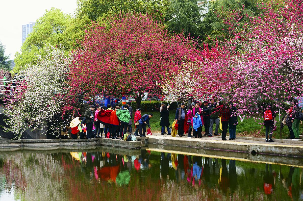 重庆三峡联合职业大学毕业生就业前景分析 - 就业率、优势及发展建议