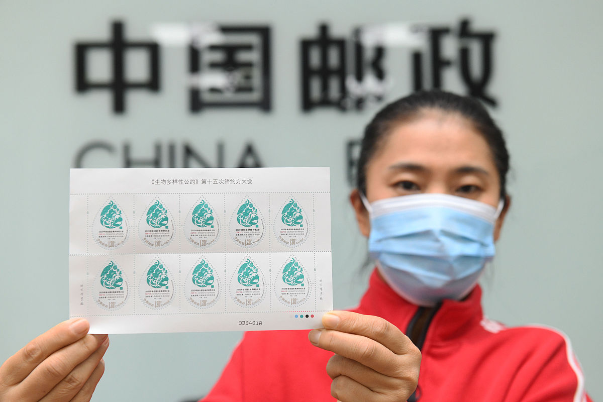 2021年10月10日,在中国邮政集团公司石家庄新乐市分公司,集邮爱好者展