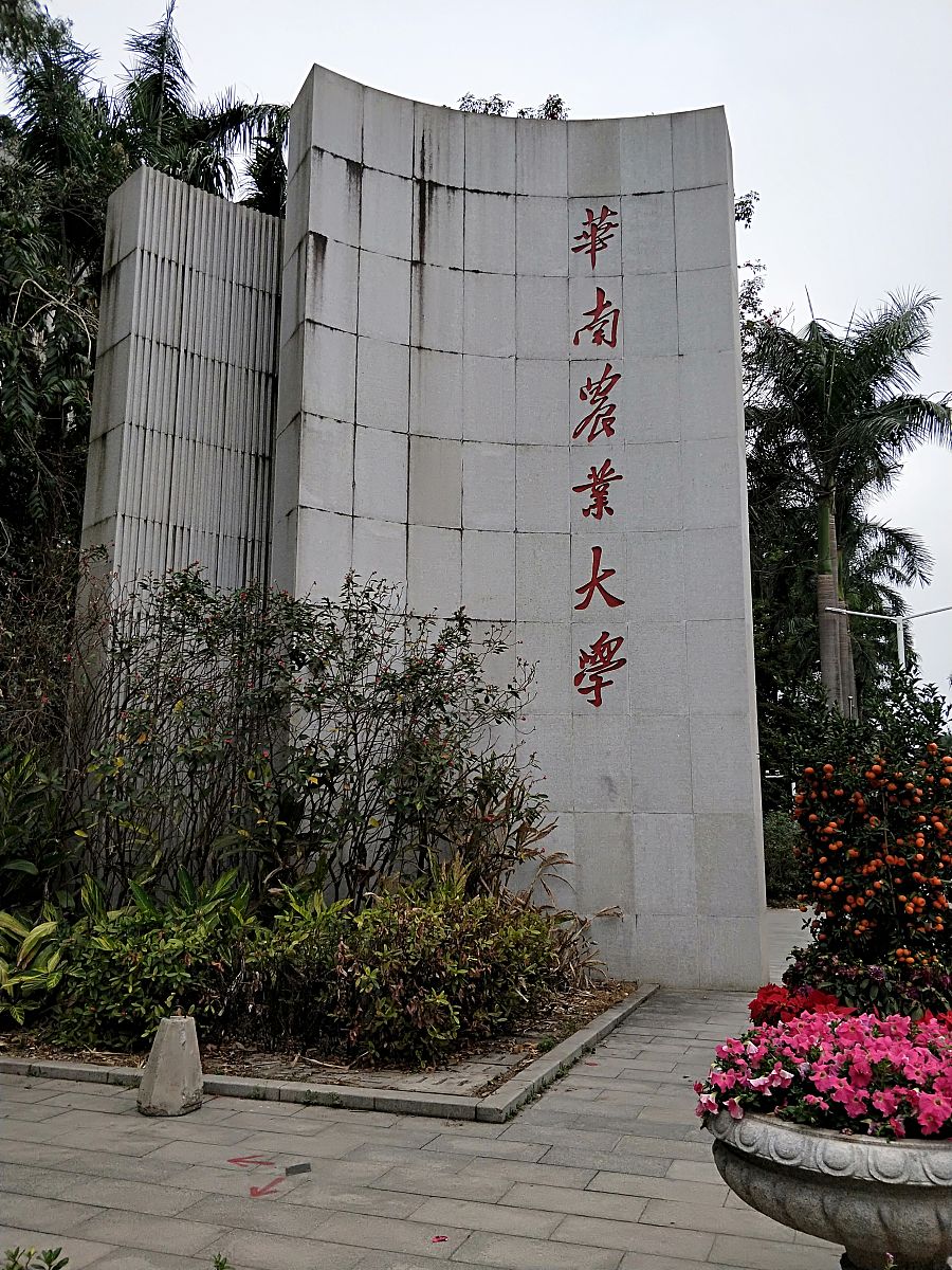 2019年2月11日,位于广州的华南农业大学.