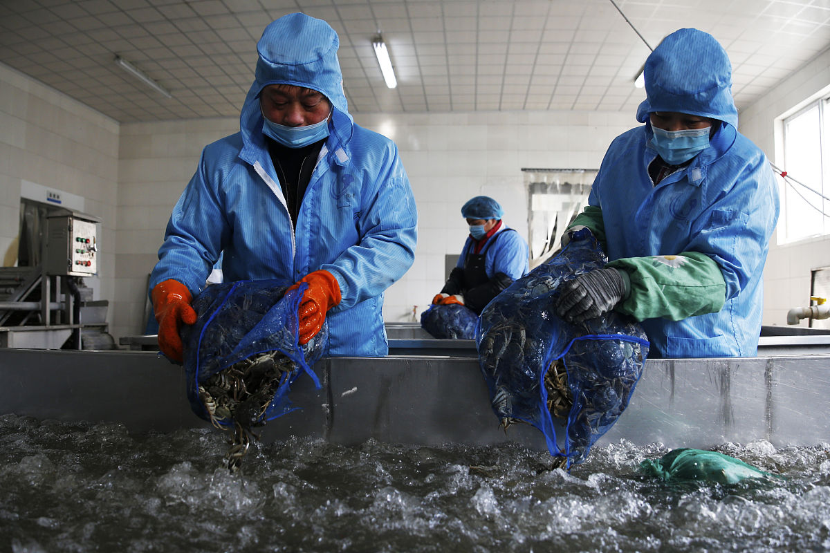 水产公司工业产品销售渠道：批发、经销、直销、电商、合作