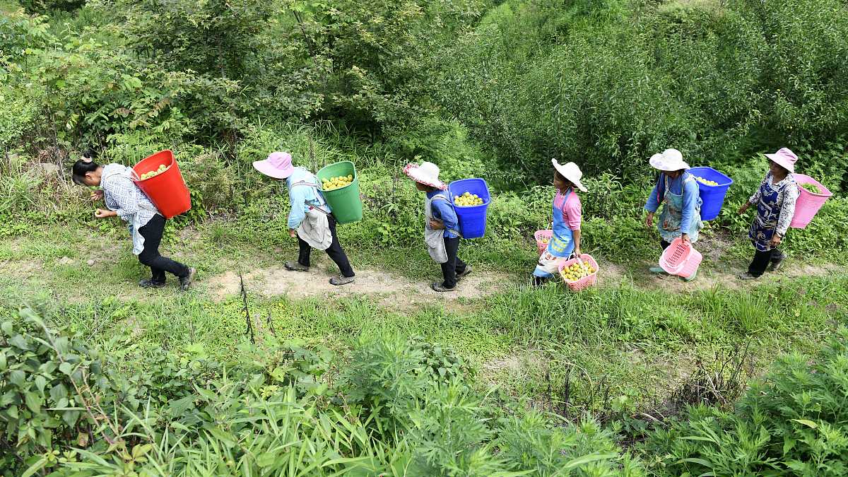 三下乡社会实践团队活动心得
