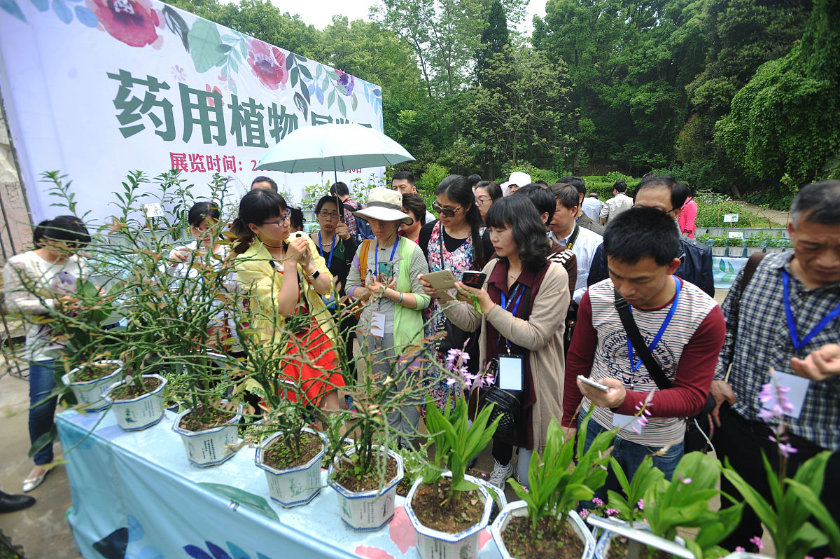 植物辨认赛事推文报名 800字