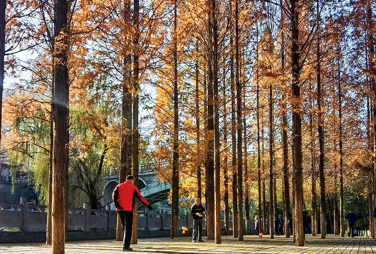2021年11月24日,河南洛阳,东周王城遗址公园.