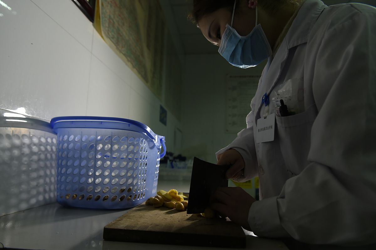 2019年贵州省针灸推拿专业学校哪些好