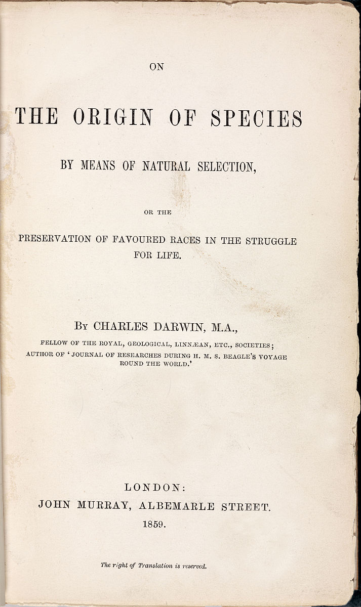 Letter of Recommendation for Chengzhi Cao - Ph.D. in Artificial Intelligence