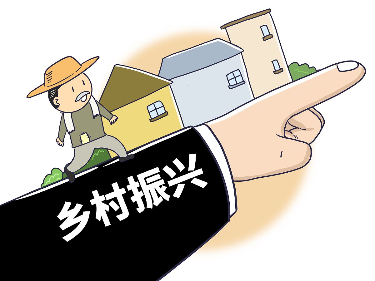 地方财政支持乡村振兴发展案例研究大纲