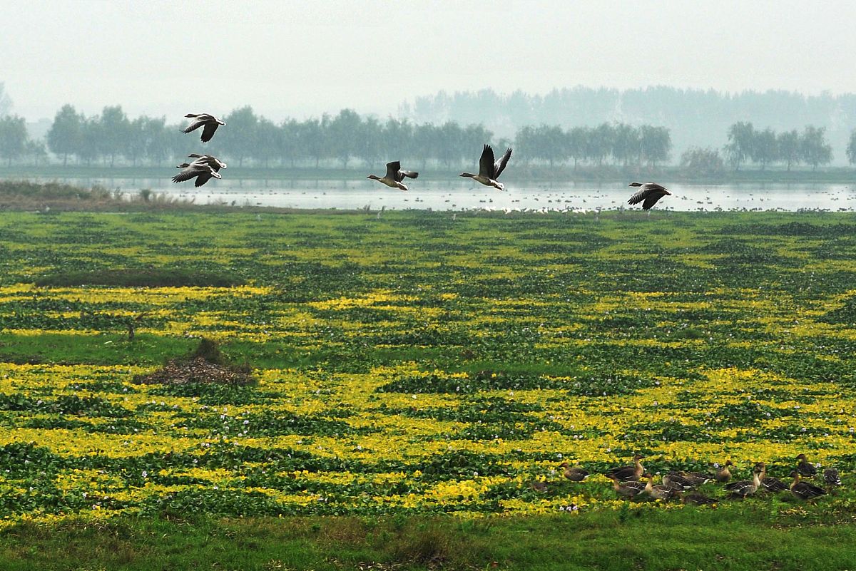 南昌大学环境工程专业怎么样