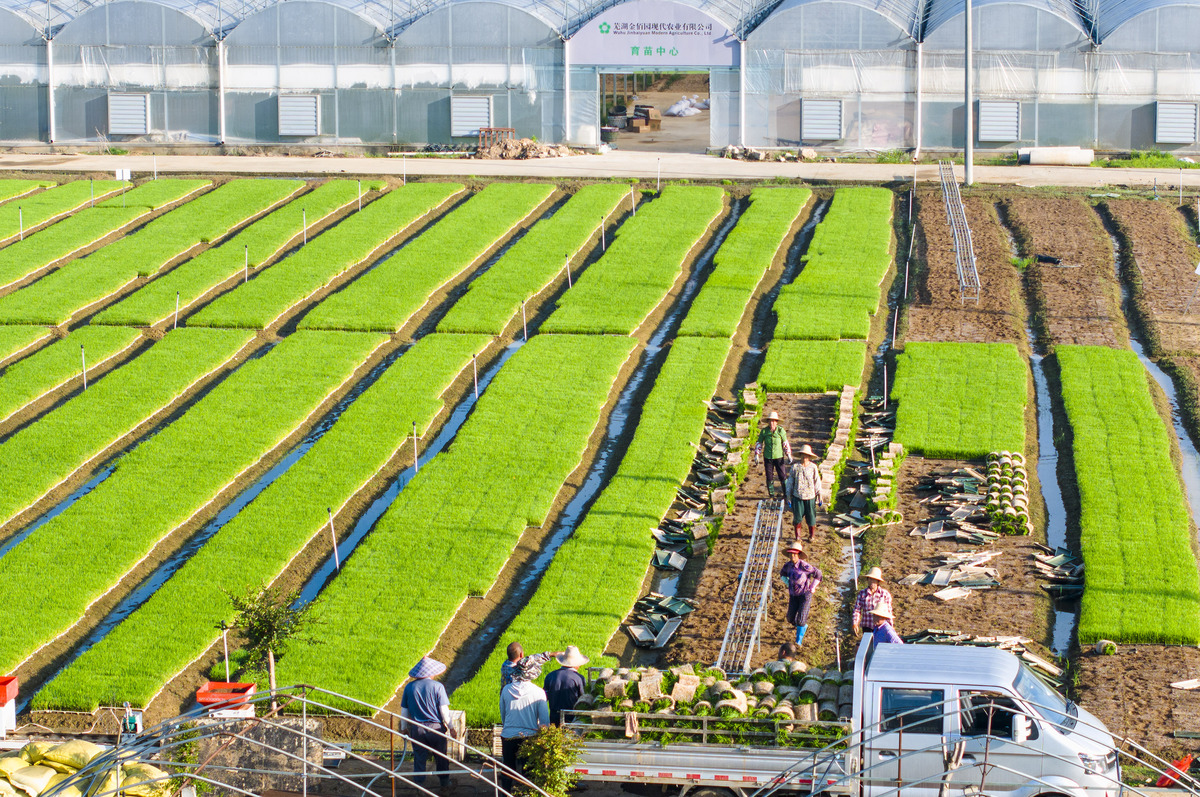 详细叙述一些关于国家对农业的扶贫政策