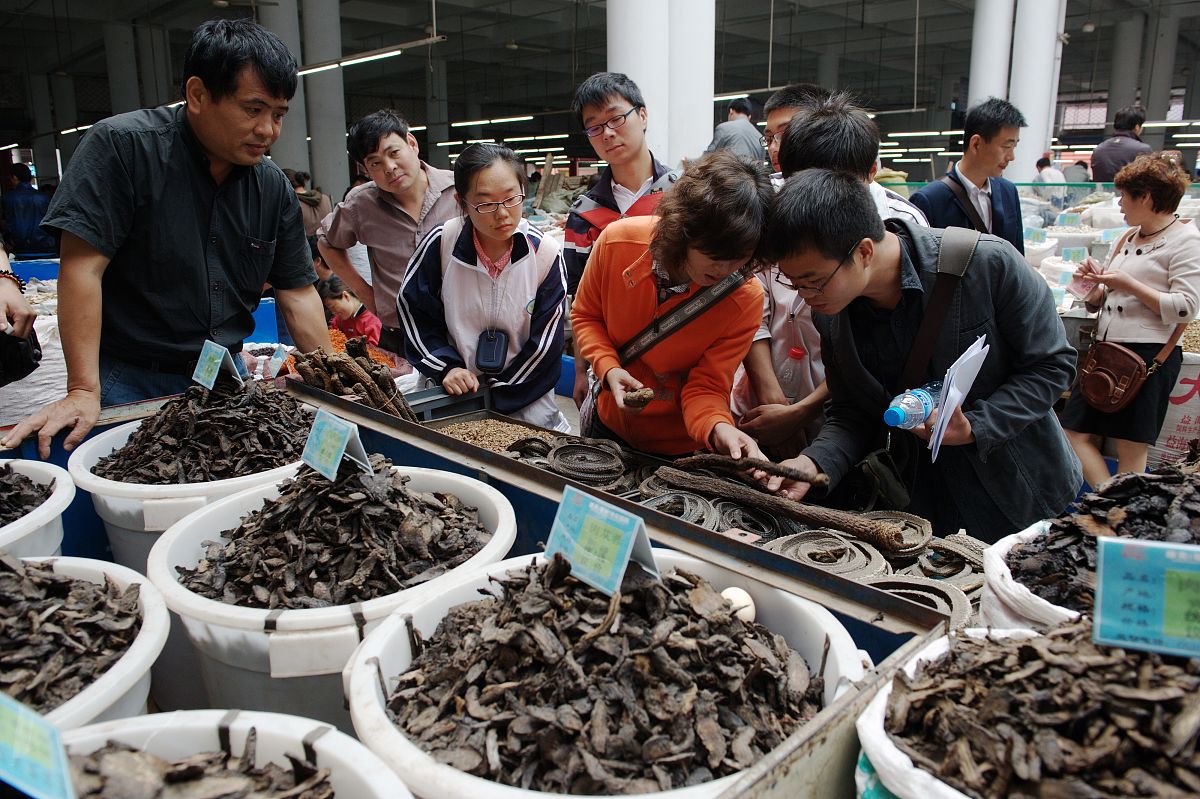 云南中医药中等专业学校药剂专业2022年招生
