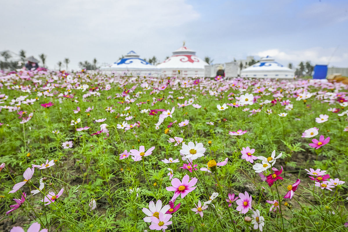 漳县职业中学园艺专业怎么样