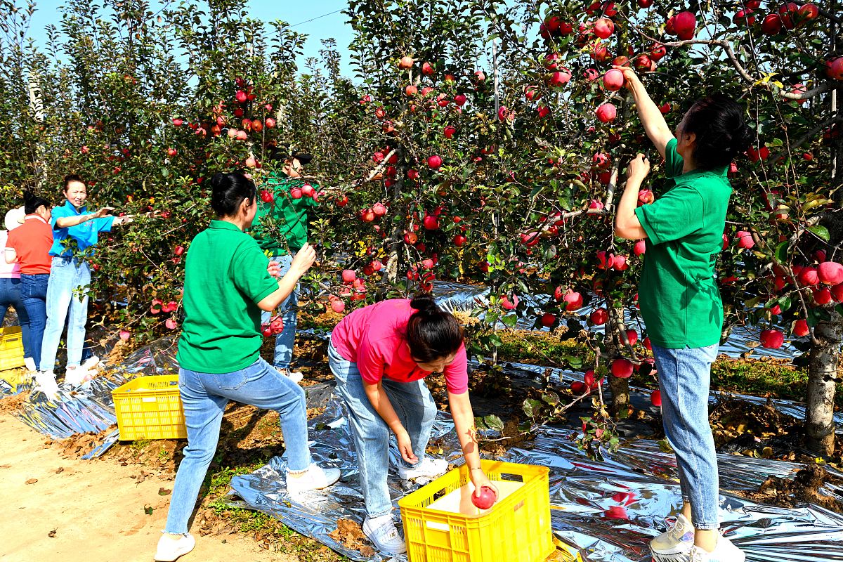 巩固脱贫成果，衔接乡村振兴：考核评估反馈整改布置会