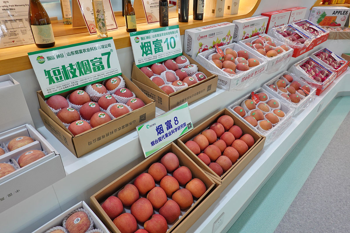 阐述烟台苹果分销渠道优化研究的实践意义400字