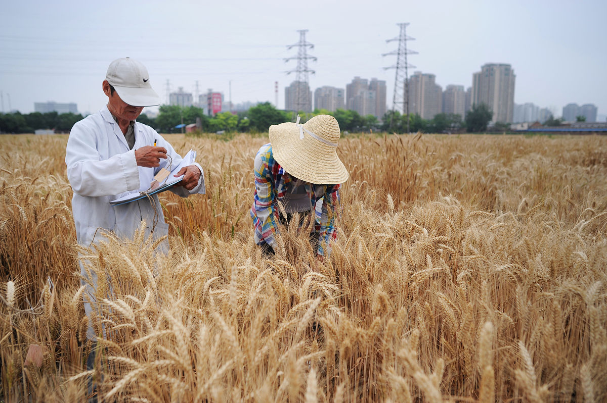 水土保持专科就业前景好不好？