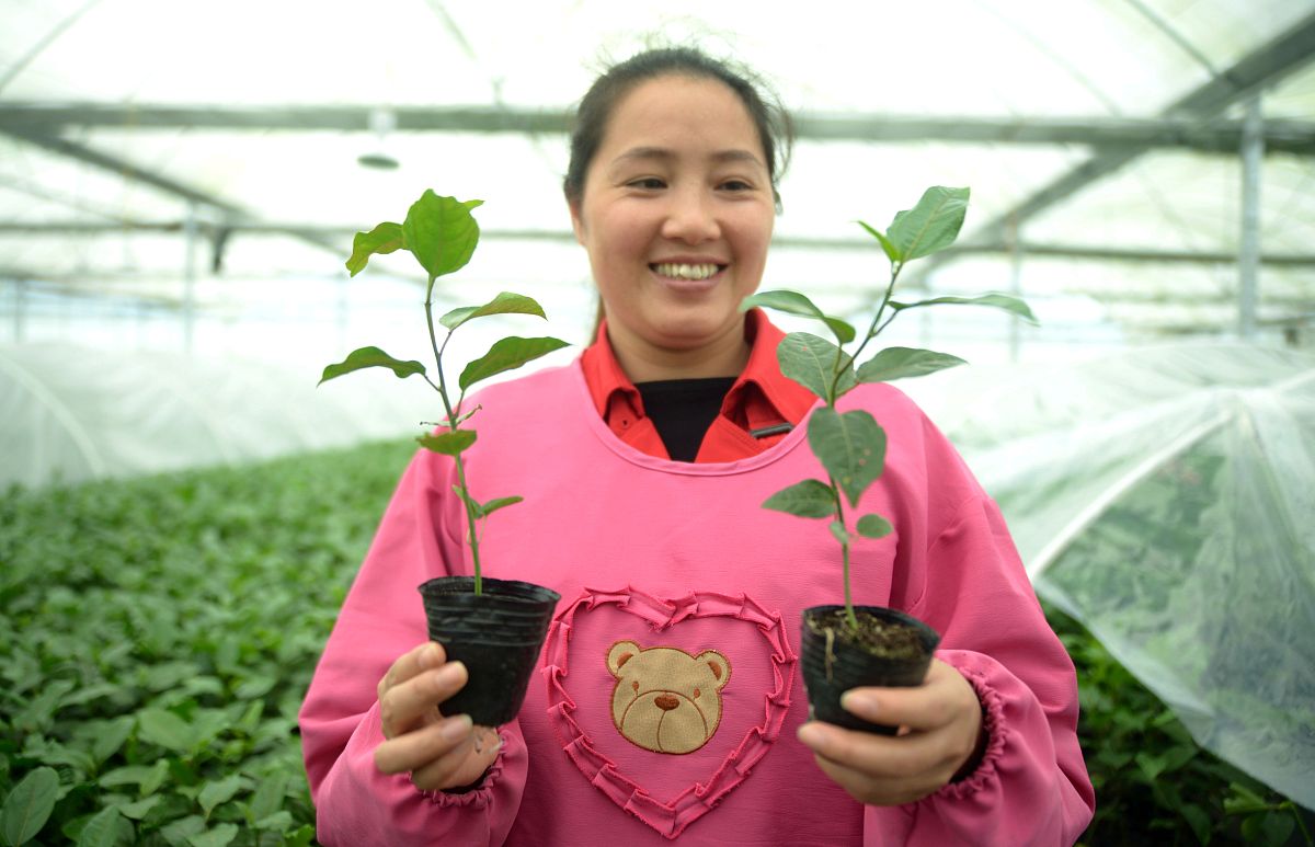 2022年澜沧县职业高级中学现代农艺技术专业招生