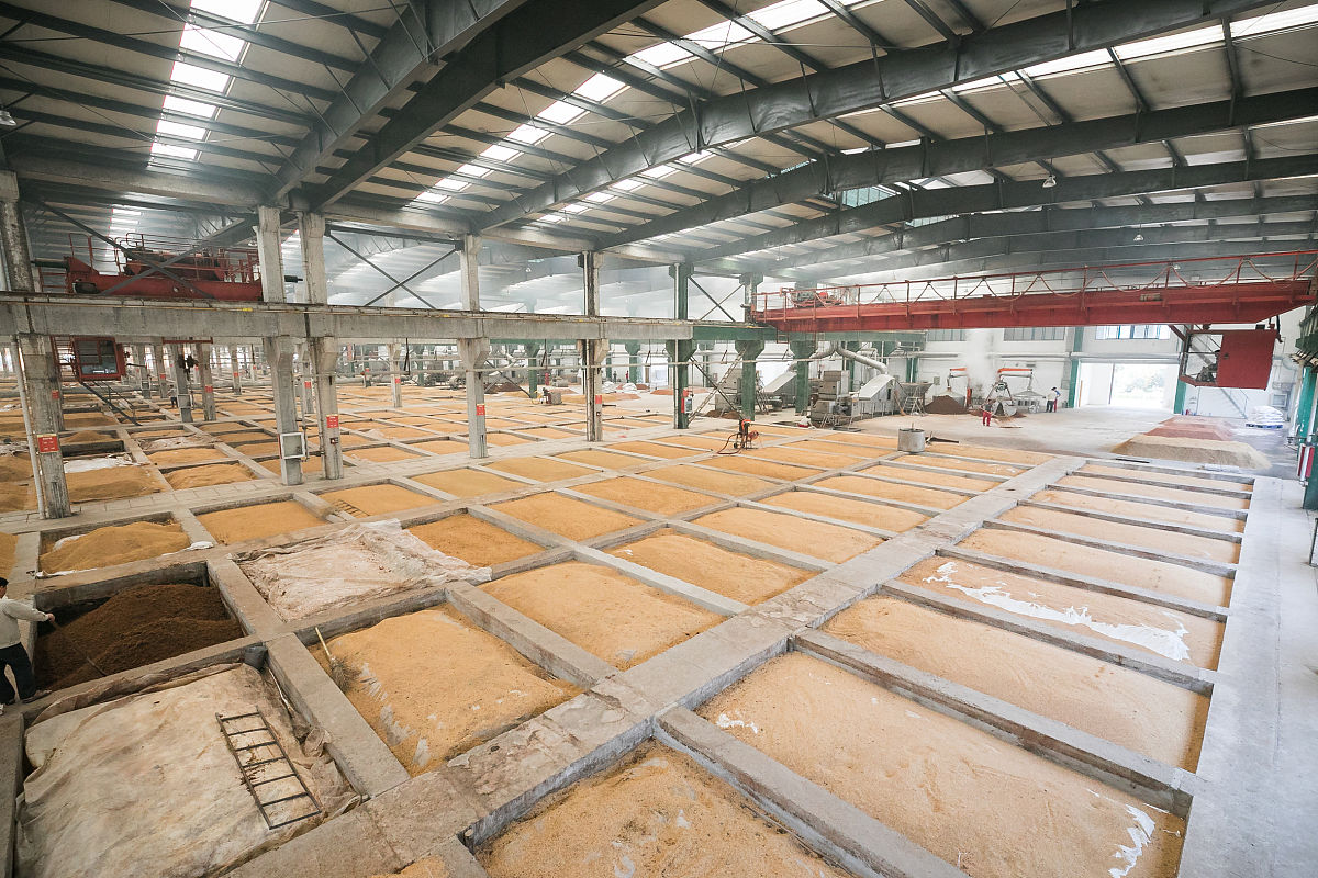 固态发酵虫草菌丝体工艺流程及设备选型详解