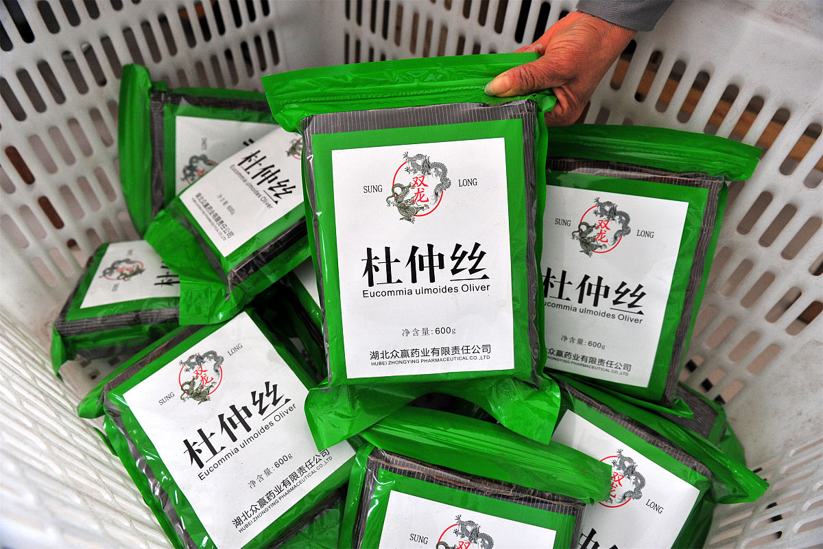 四川省食品药品学校校园环境：优美、文化丰富，助力学生成长