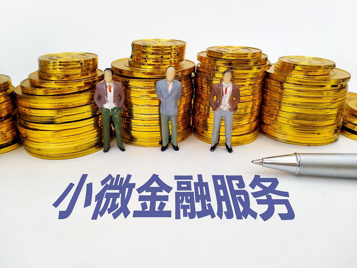 参加小微普惠金融会议主持稿