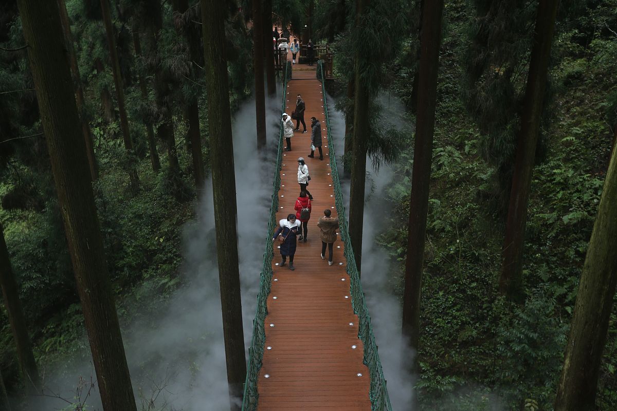 十七年来老年健身养生园经历了打基础、起步、巩固、提升四个发展阶段摸着石头过河经过探索——实践——再探索走出一条与市电视台租赁合作、与锦鸿山庄股份合作的办园路子实行风险共担、利益同享的现代企业机制使老年健身养生园逐渐有了生气。改写句子