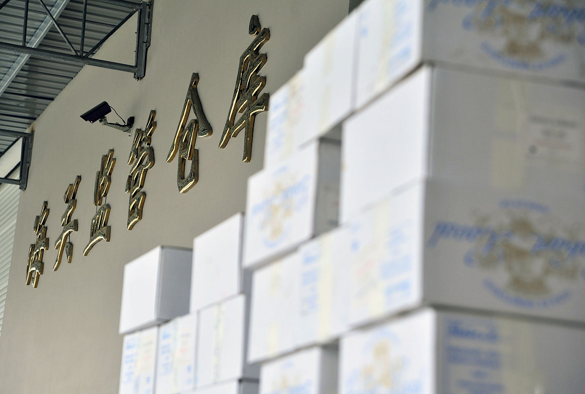 单证报关与买单报关：区别、优劣势及选择指南