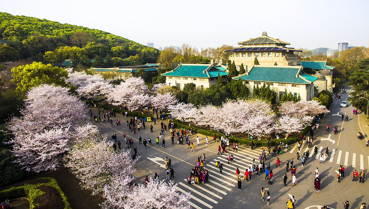 武汉大学樱花营销：打造春日浪漫盛景