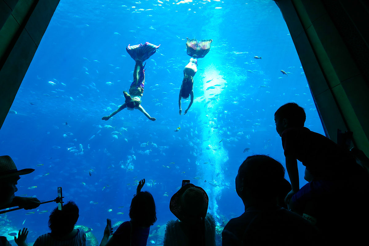 泉州海洋职业学院航空服务专业怎么样？优势、不足及就业前景分析